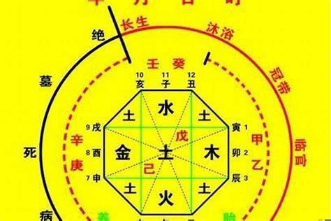 免費八字排盤喜用神|生辰八字五行排盤，免費八字算命網，生辰八字算命姻緣，免費八。